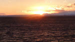 DSC02762.jpg
