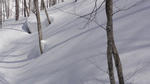 DSC02794.jpg