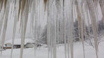 DSC02798.jpg