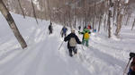 DSC02791.jpg