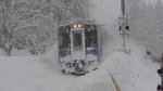 DSC02804.jpg