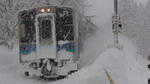 DSC02806.jpg