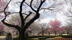 DSC02817.jpg