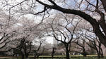 DSC02813.jpg