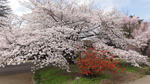 DSC02816.jpg