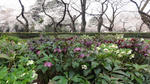 DSC02815.jpg