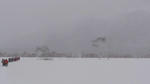 DSC02917.jpg