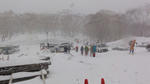 DSC02905.jpg
