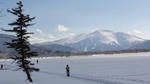 DSC02957.jpg