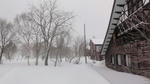 DSC02912.jpg