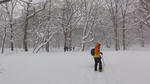 DSC02922.jpg