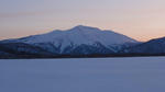 DSC02981.jpg