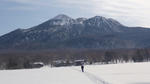 DSC02992.jpg