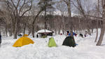 DSC03005.jpg