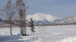 DSC02989.jpg