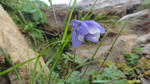 DSC03218.jpg