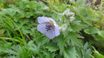 DSC03224.jpg
