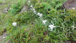 DSC03219.jpg
