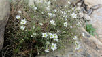 DSC03256.jpg