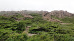 DSC03254.jpg