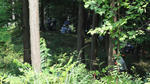 DSC03294.jpg