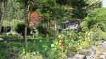 DSC03299.jpg