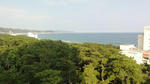 DSC03329.jpg