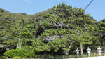 DSC03326.jpg