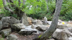 DSC03379.jpg