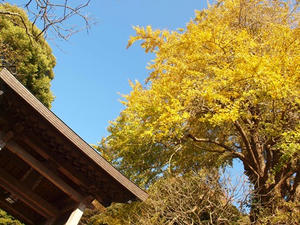 PC025503shuusei.JPG