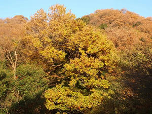 PC025508shuusei.JPG