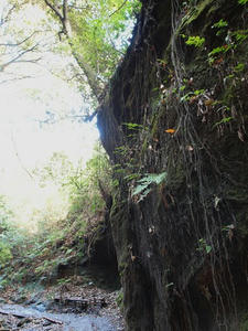 PC025510shuusei.JPG