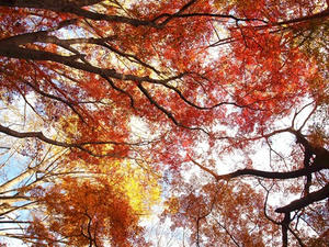 PC025516shuusei.JPG