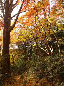 PC025527shuusei.JPG