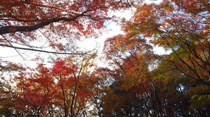 PC025536shuusei.JPG