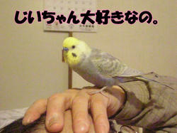 クリックで拡大