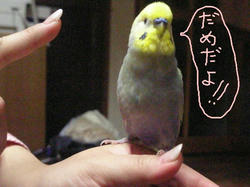 説教中.jpeg