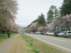 二十間道路.jpeg