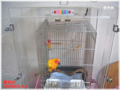 アクリル製　鳥かご鑑賞ケース