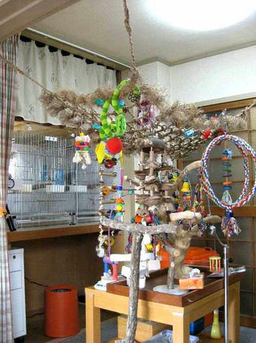 鳥の楽園