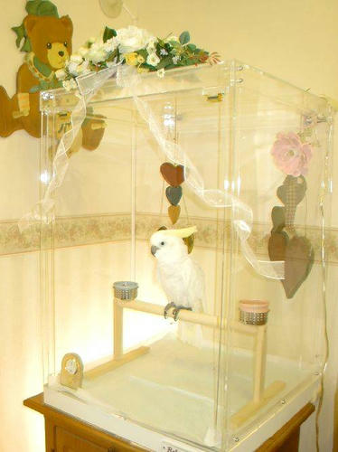 インコ、オウムなど鳥かごのカバー用アクリルケース　保温・防音・脂粉対策 アクリル鳥かご鑑賞ケースご使用例　