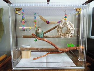 素敵なアクリルの部屋:東京、トコリコちゃん p115|ハッピー 素敵なアクリルの部屋:東京、トコリコちゃん p115|ハッピー