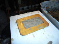 DSC00174.JPG