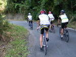 2009_08230059.JPG