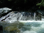 2009_08230092.JPG