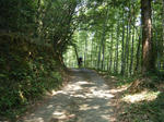 2009_08300047.JPG