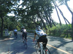 2009_09060077.JPG