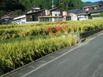 2009_09200002.JPG