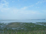 2009_09270019.JPG