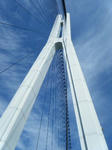 2009_10110063.JPG